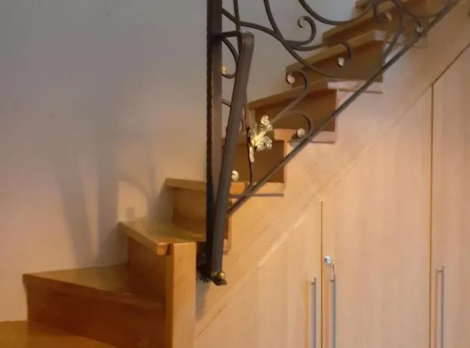 Zvezdana Prasina * ズラティボール