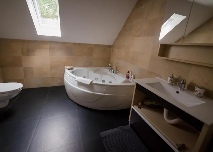 Zvezdana Prasina * ズラティボール